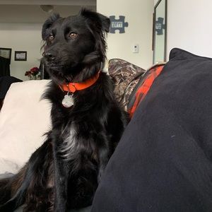 Meet your Posher, Kimi